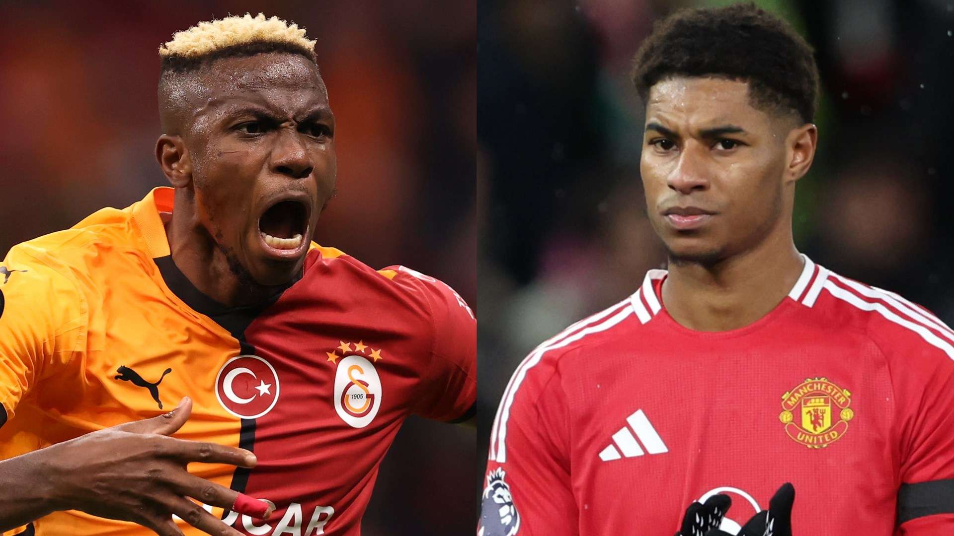 海港球迷的 海港球迷的