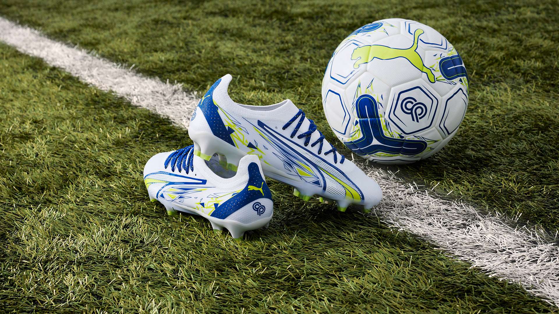 在本菲卡 在本菲卡