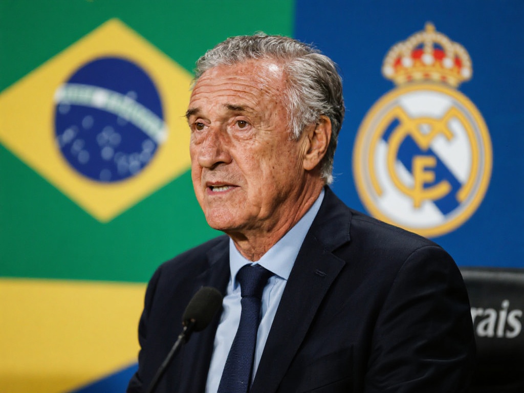 训练效果 训练效果